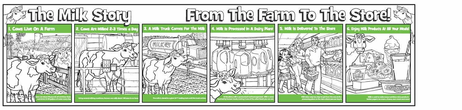 Fair Education - The Milk Story - 3256