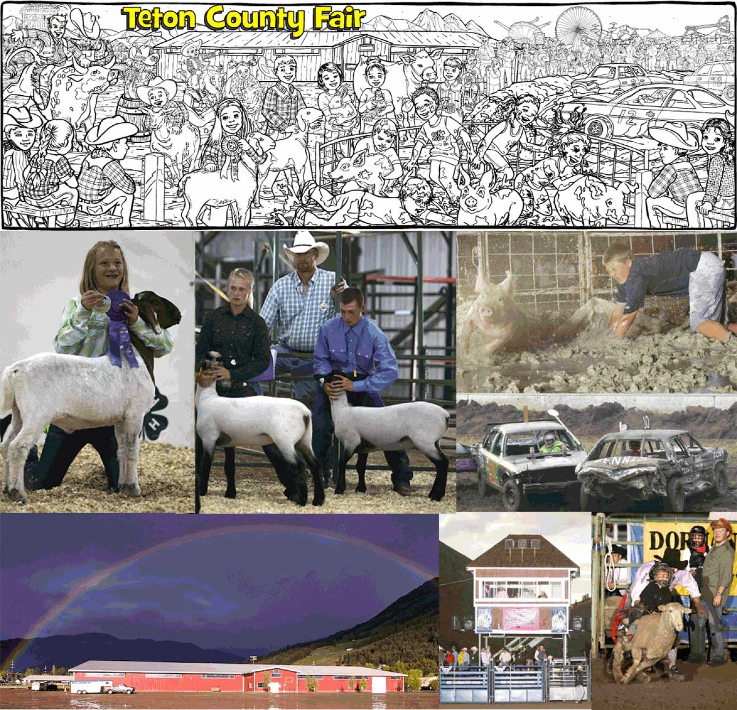 Example of New Illustration--Teton County Fair - 5004